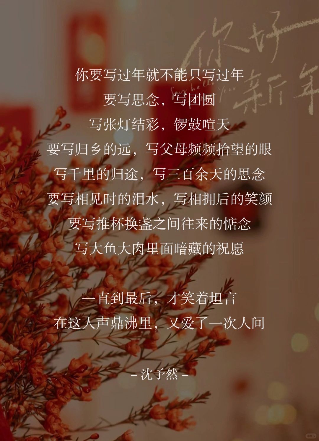 在这人声鼎沸里，又爱了一次人间🎆
你要写过年就不能只写过年
要写思念，写团圆
