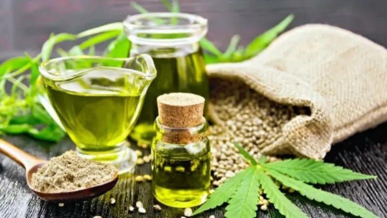 泰国大麻合法化进程，叫停！