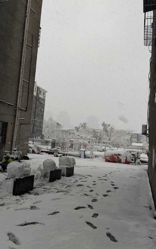 离开南昌之前
终于看到一场几年没有看过的雪🌨️ 