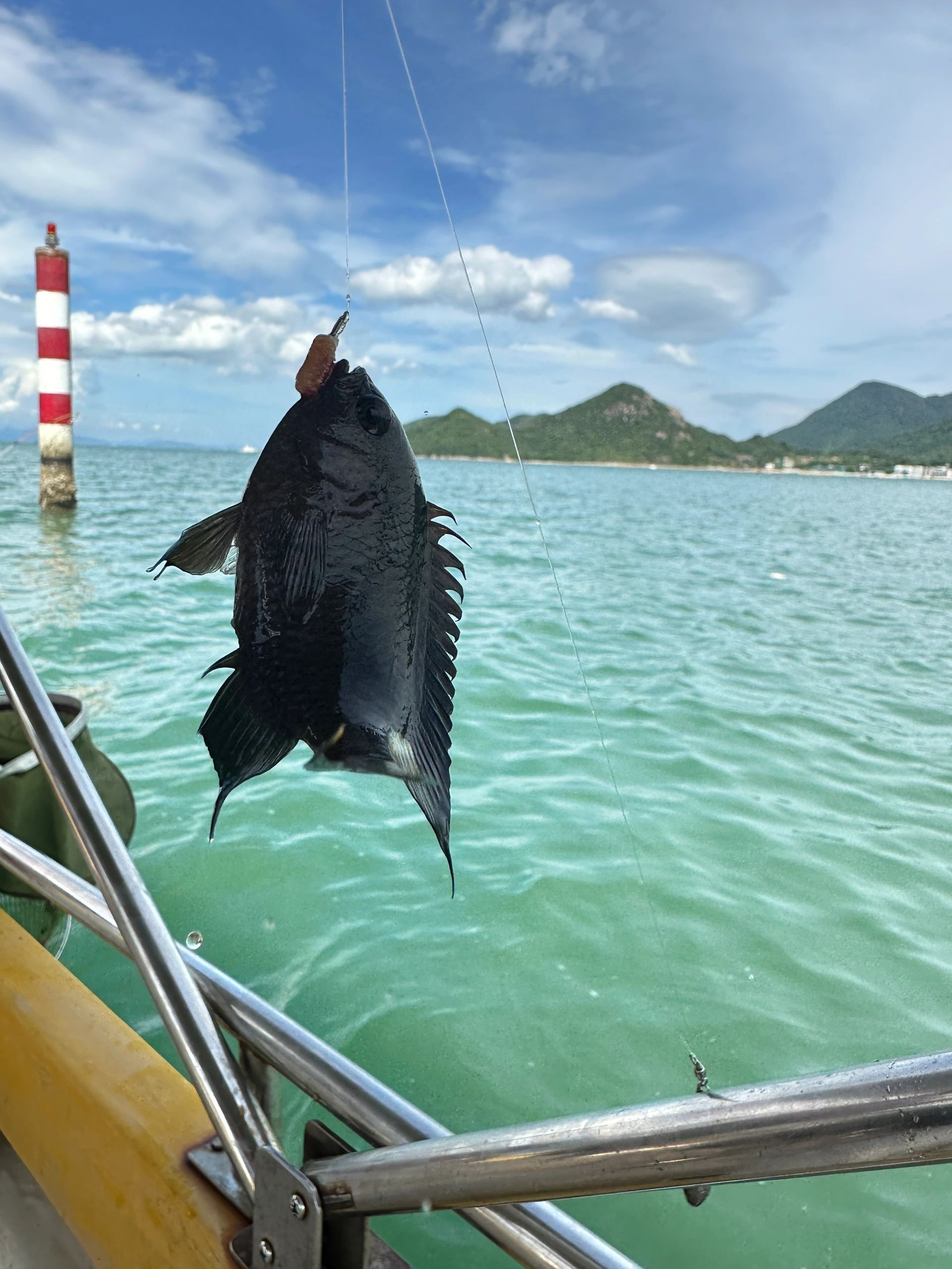 钓鱼🐟🚤船上定点钓鱼🎣 快来！