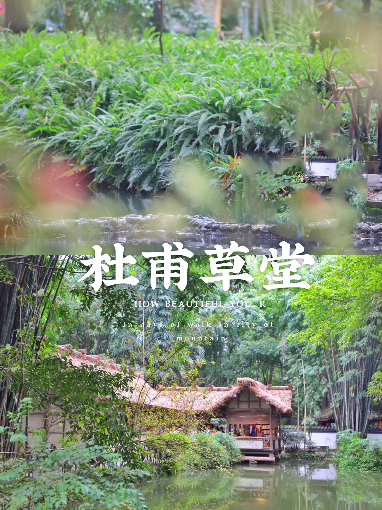 成都｜汉服取景胜地杜甫草堂，随便拍照都美