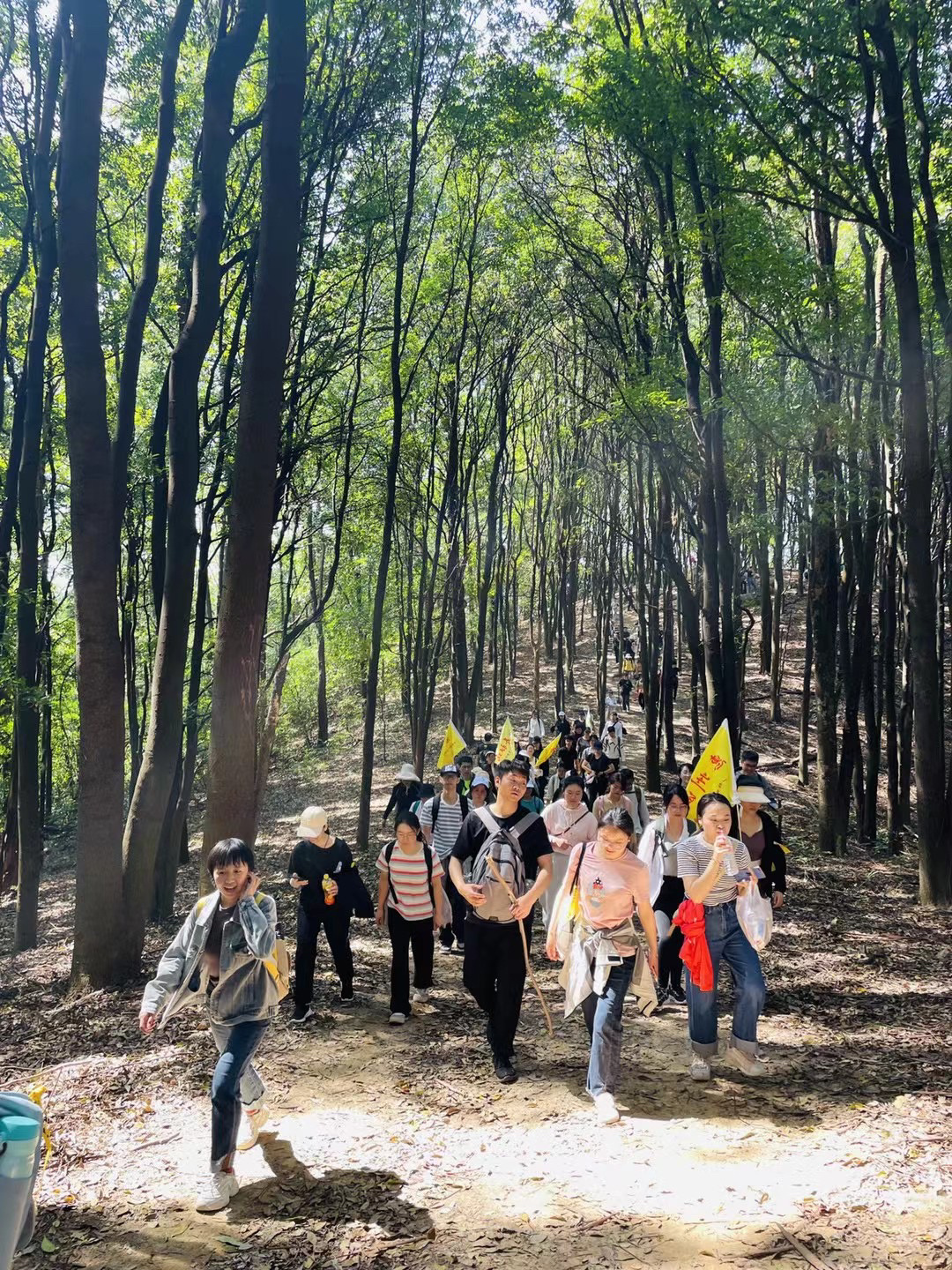 徒步招募｜0️⃣元打卡广州经典徒步线路