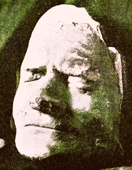 牛顿于1727年去世，当时虽没有照相机，但牛顿的“真容”却被记录下来了。这是牛顿