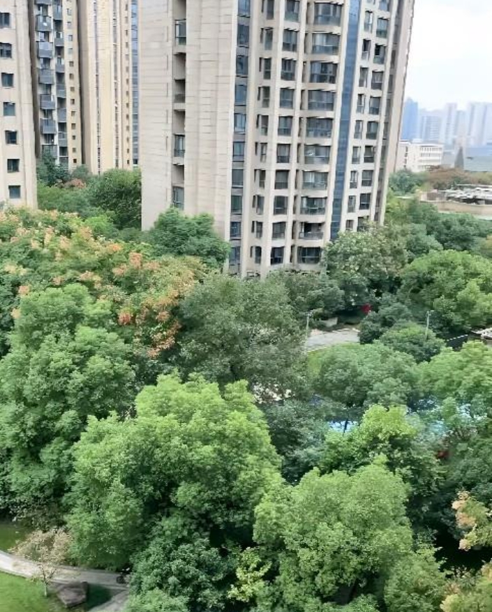 浙江的一位女士贴出了自家阳台的照片，照片中她的父亲和儿子正在阳台上工作和学习。 