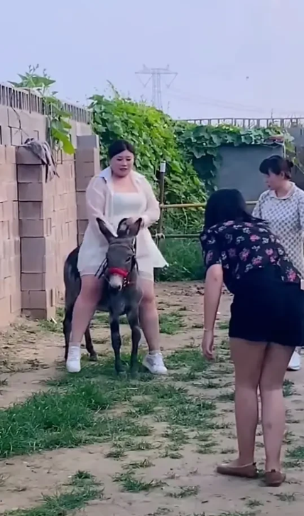 这是哪个村的妇女主任呀？

这体格子扛驴走都没问题[骷髅][骷髅][骷髅]

你