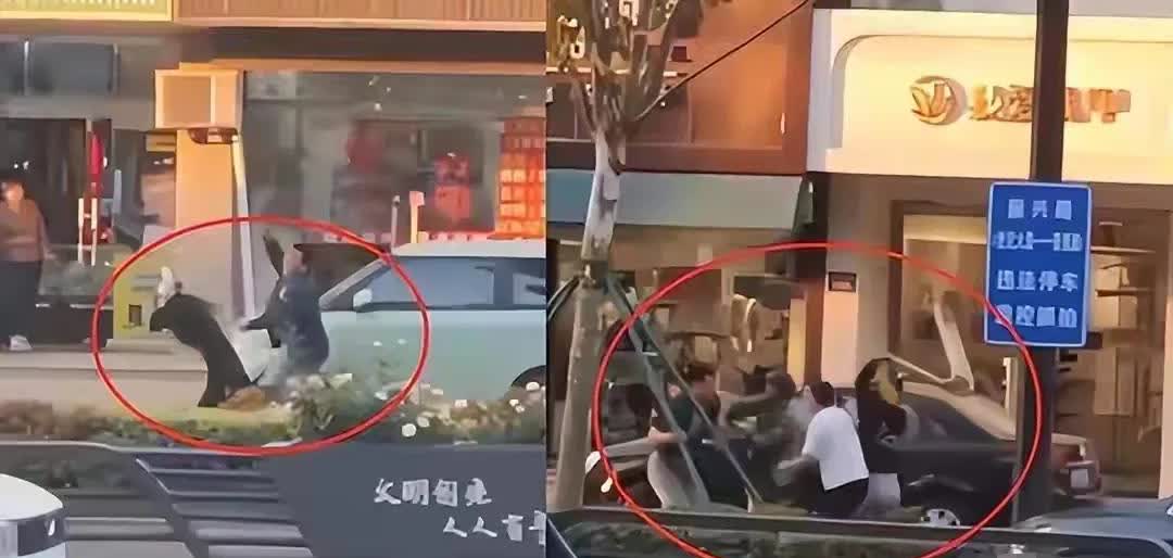 女律师遭暴力袭击，外卖小哥勇敢制止并得到奖励。支持行凶者的评论令人费解。对判决不