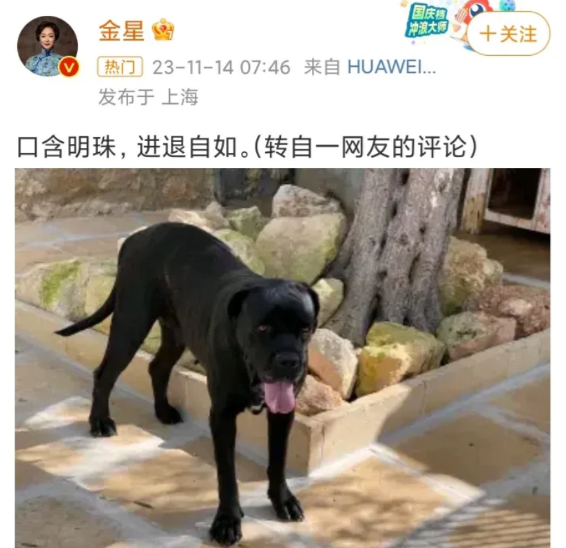 金星，评论区沦陷了！

著名舞蹈家金星突然发布了一张狗狗伸着舌头的照片，并配文“