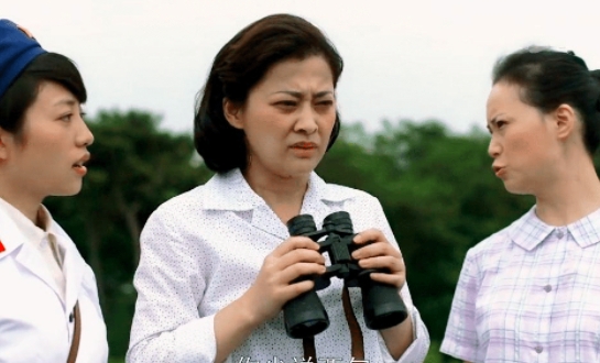 电视剧《父母爱情》
不仅仅是一部感情戏，甚至更像一部历史剧，只是距离我们更近一些