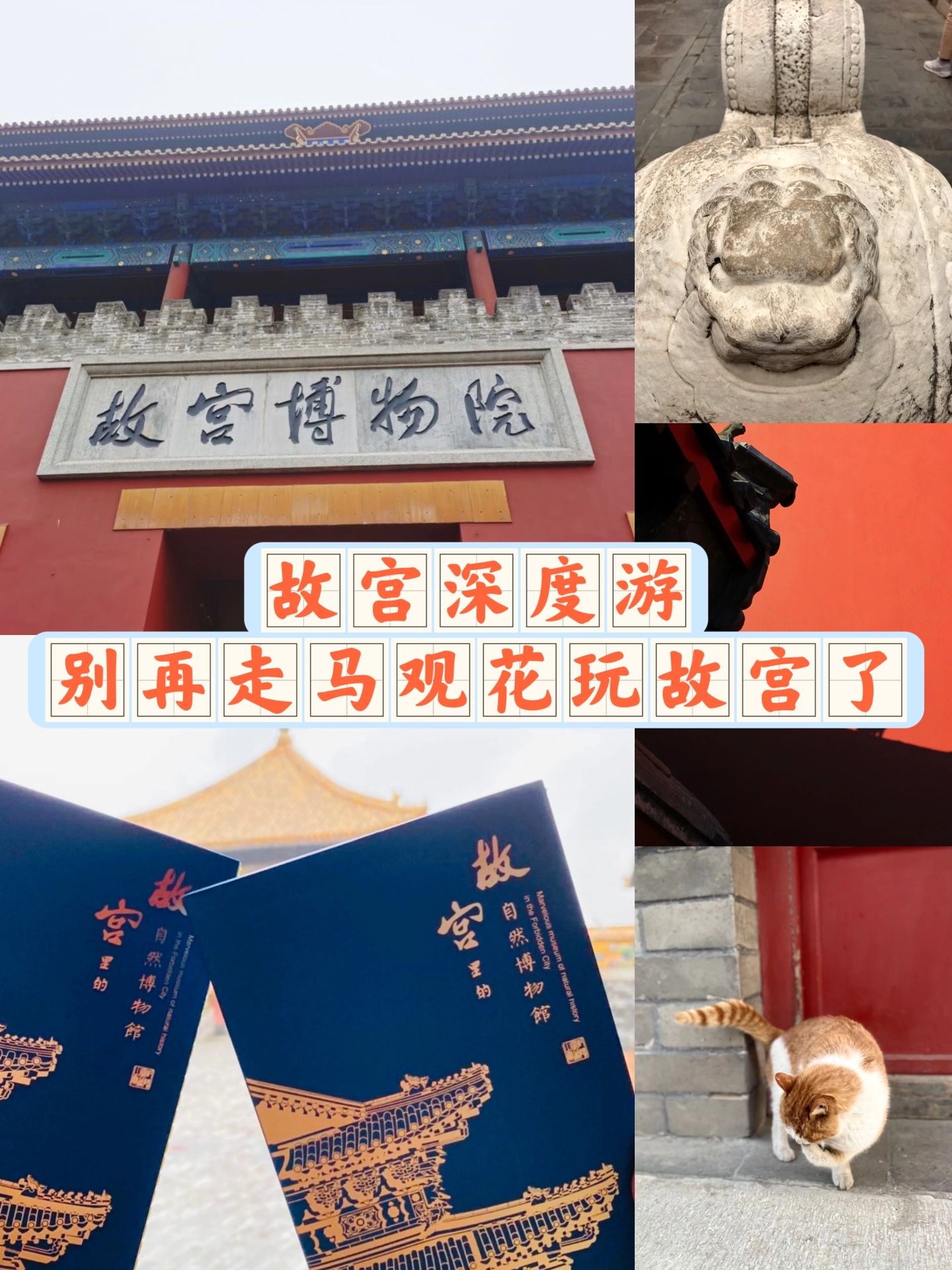 故宫太大不知道怎么玩，看这篇攻略就足够了