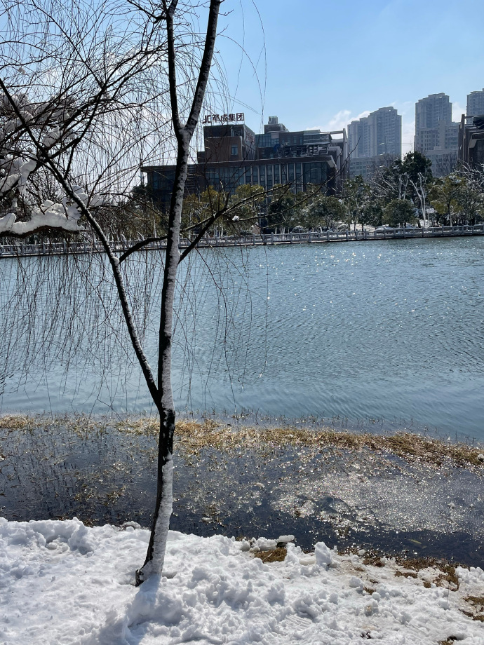 一起来赏雪 ​
