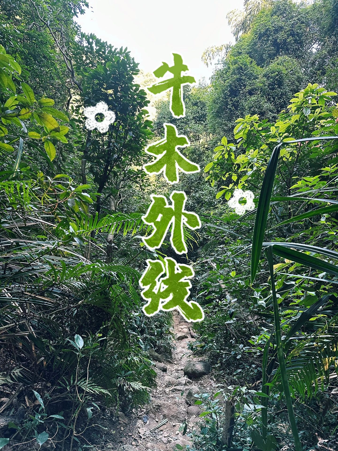 广州户外｜牛木外线，徒步指南
