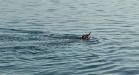 50岁的大叔，如此决绝的从8层楼高的大桥跳下：近日，生活在厦门的50岁退役军人邓