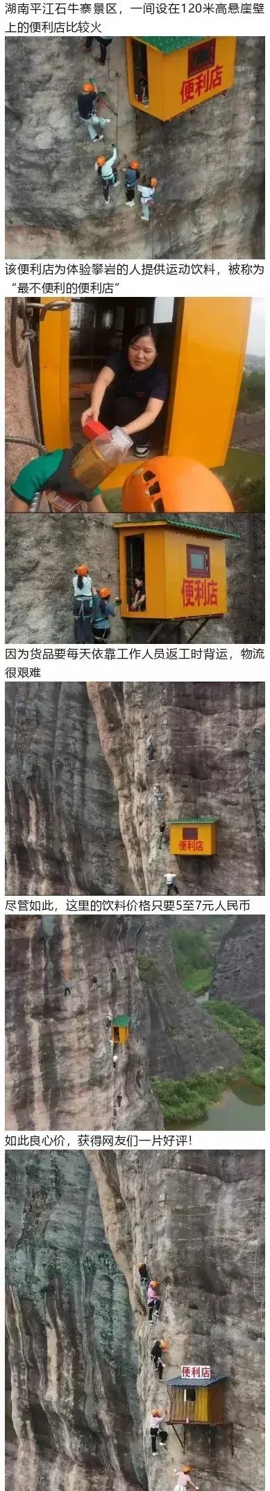 真正的良心