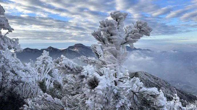 【雪景持续到周末，“南方小土豆”在家门口嗨翻啦】杭州2024年第一场雪来过了。虽