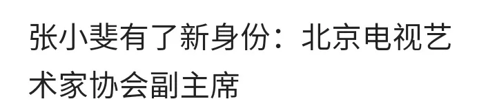 张小斐何德何能视协副主席？？就演了个看不懂的《你好李焕英》，这就成了主席了？？看