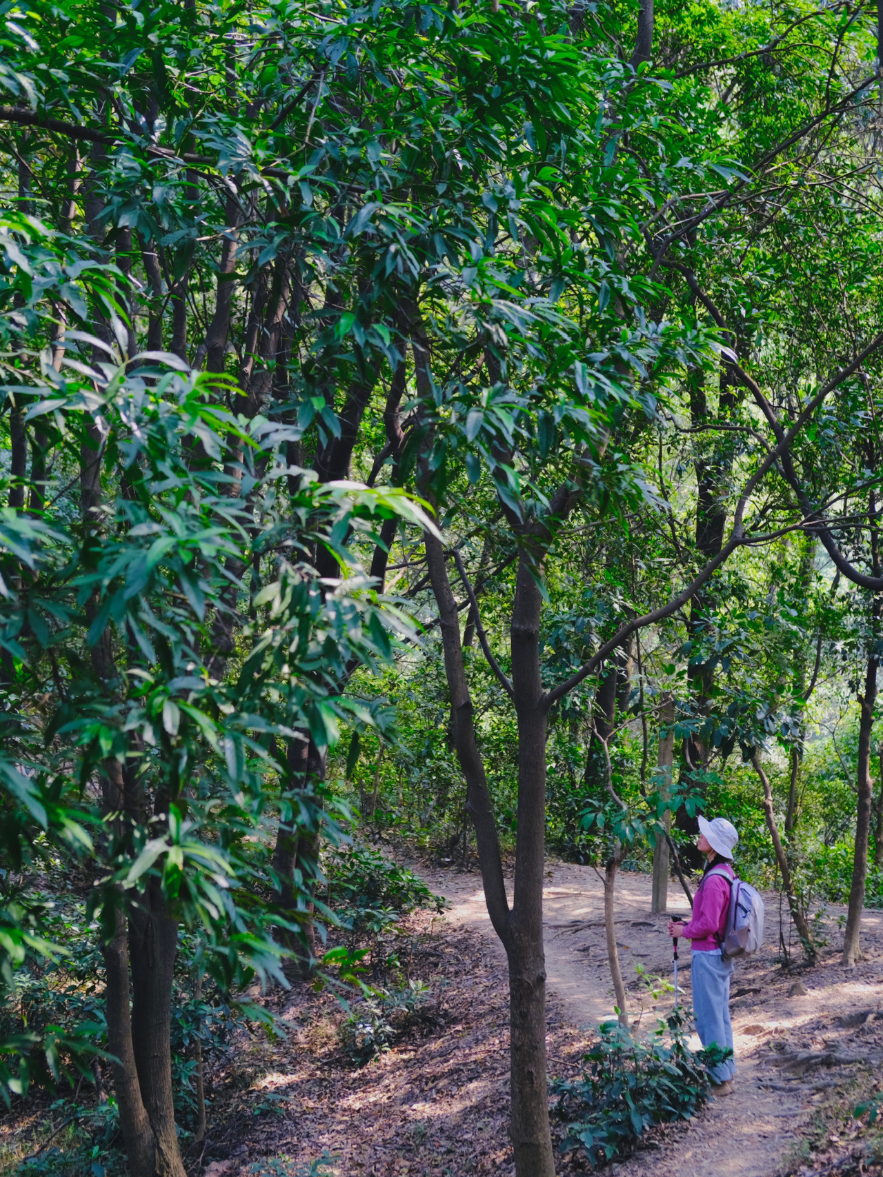 徒步 | 白云山不走寻常路之野人谷