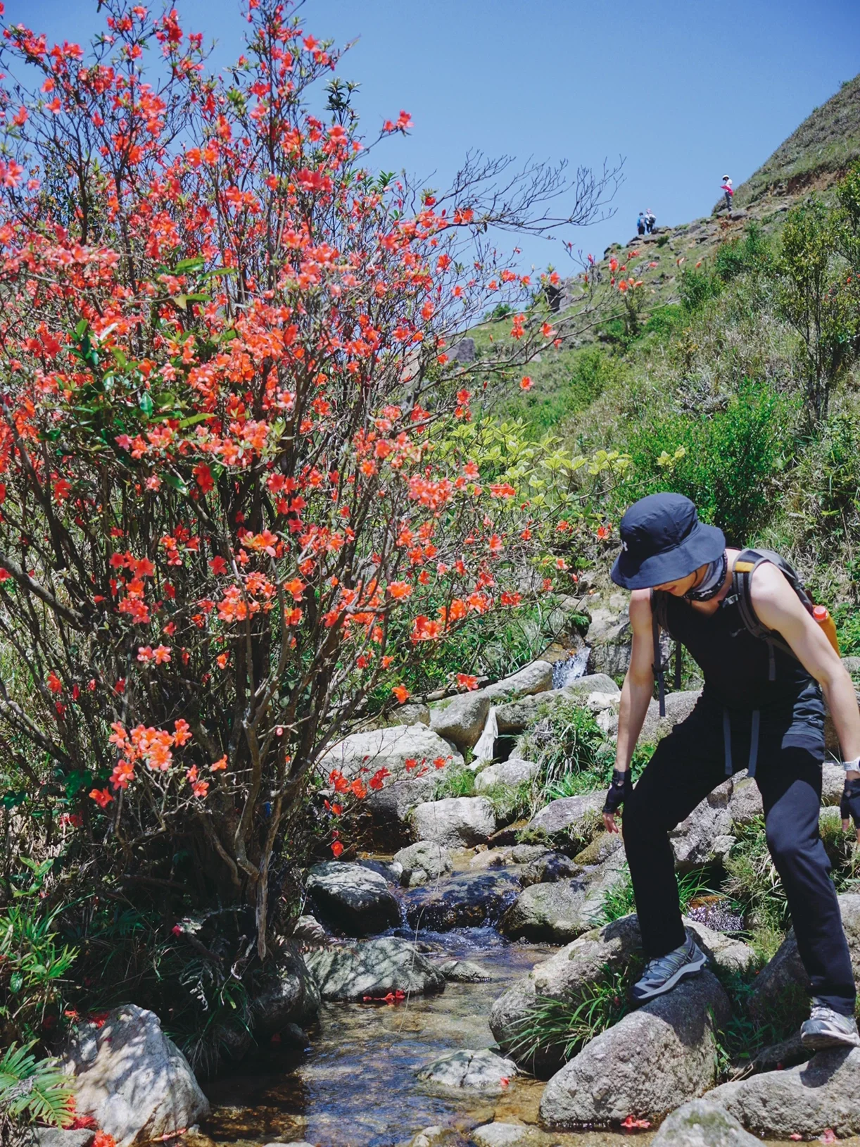 徒步——⛰️天露山
