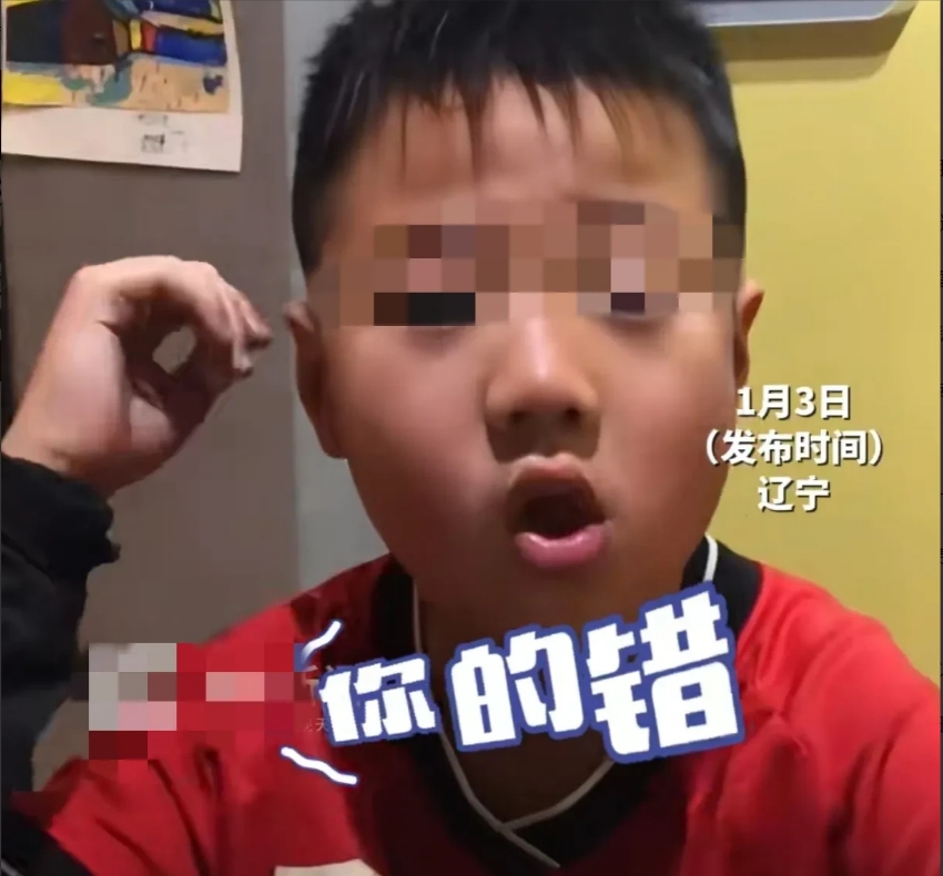 “这个孩子火了！”辽宁，女子晚上回家和丈夫大吵了一架，事后问儿子：你觉得是谁的错