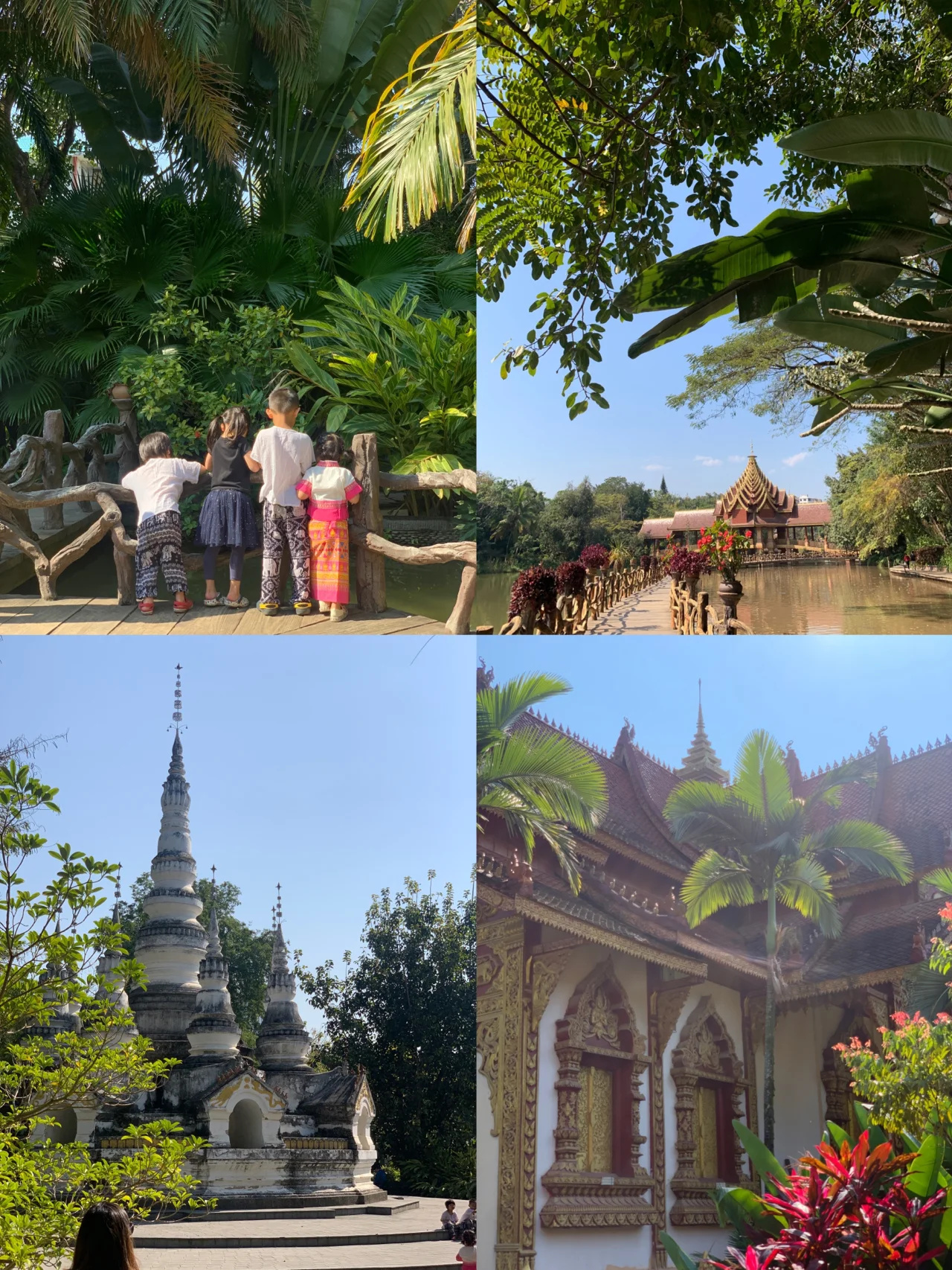 西双版纳传统景点合集（下）避坑推荐指南