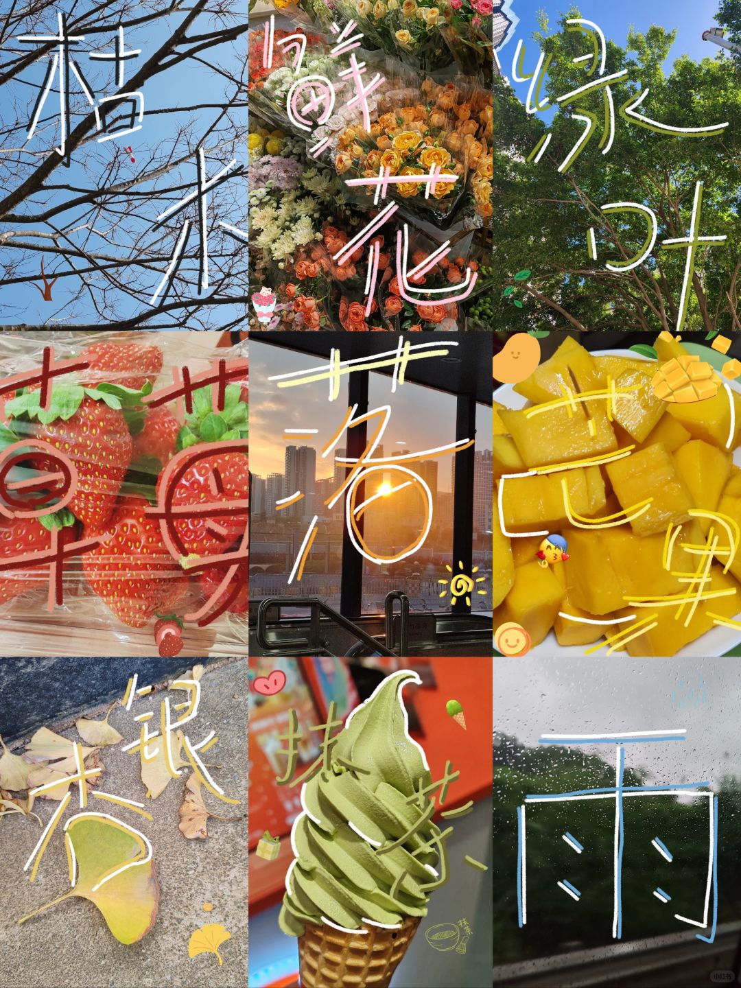 涂鸦/赋予照片独特的意义(o^^o)
每张照片都有属于它自己独一无二的故事📜
