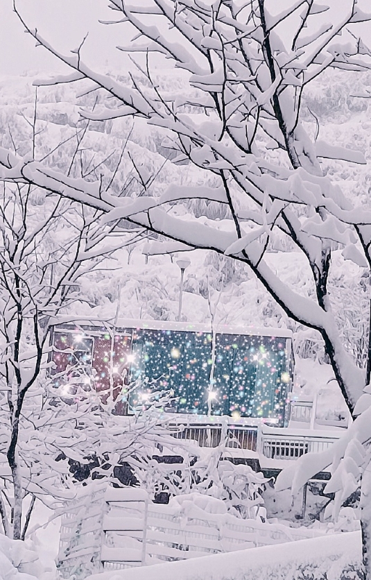 看山，赏雪，试茶，临帖。 ​