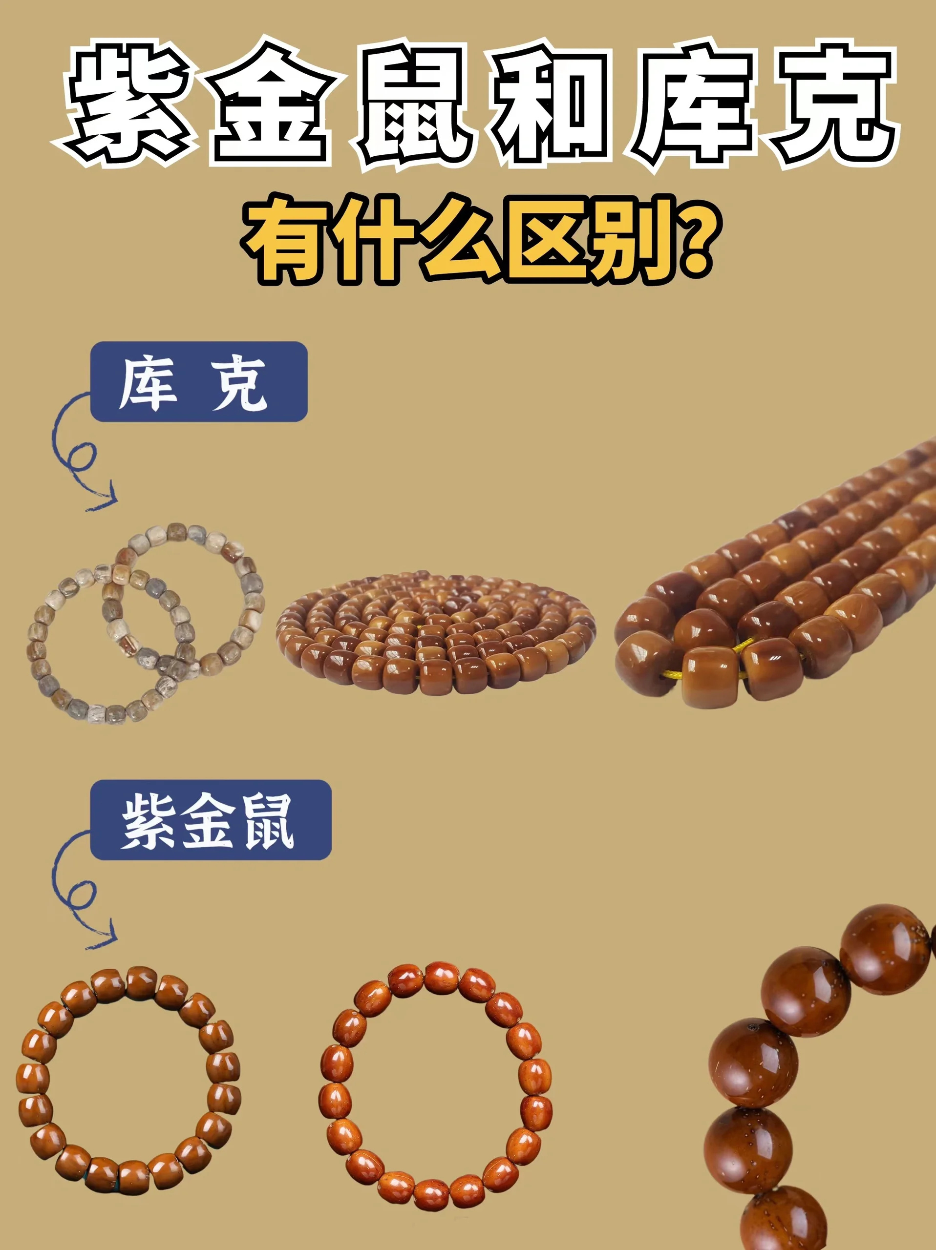 库克和紫金鼠有什么区别？哪个更适合盘玩？