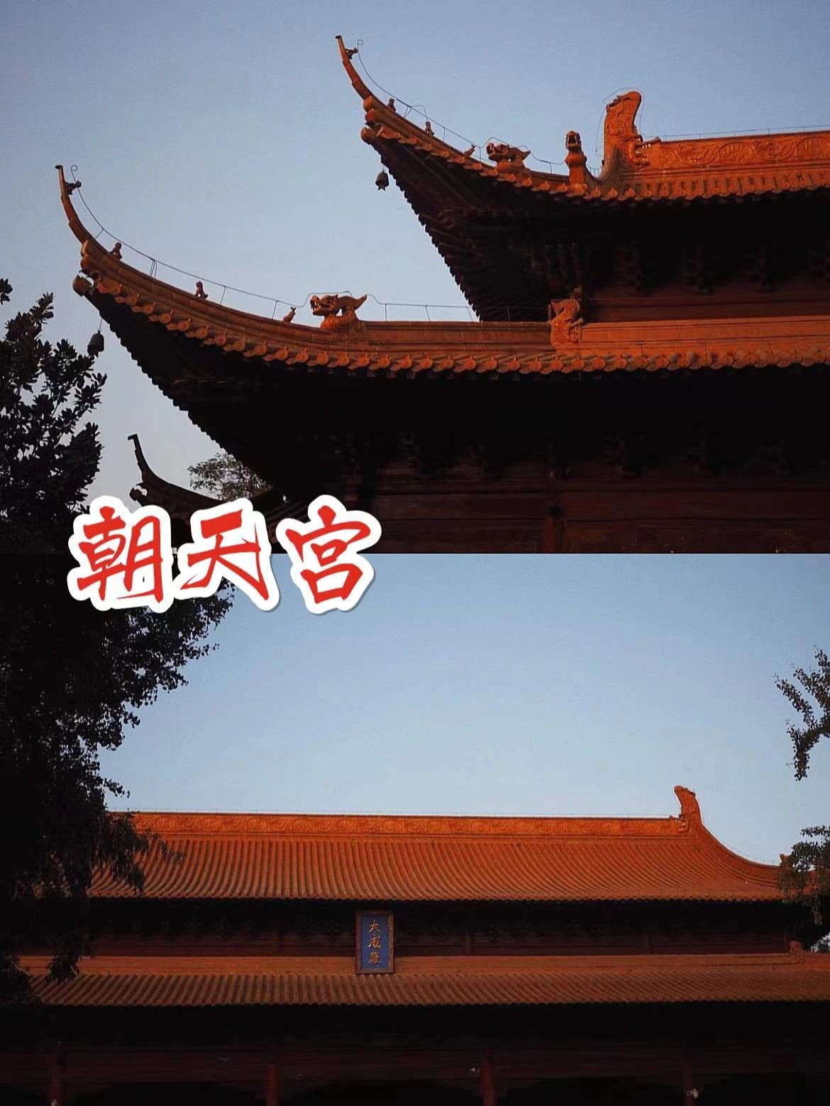 南京旅游避坑指南！