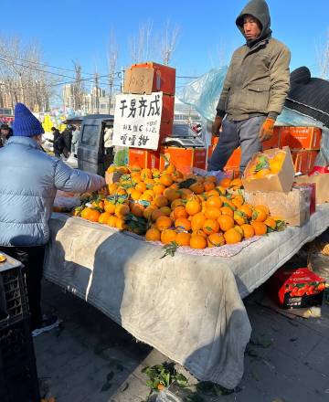 看完之后感觉自己不识字了 