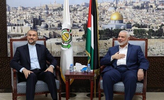 CNN报道：以色列驻美国大使迈克尔·赫尔佐格证实，以色列已准备好暂停军事行动，以