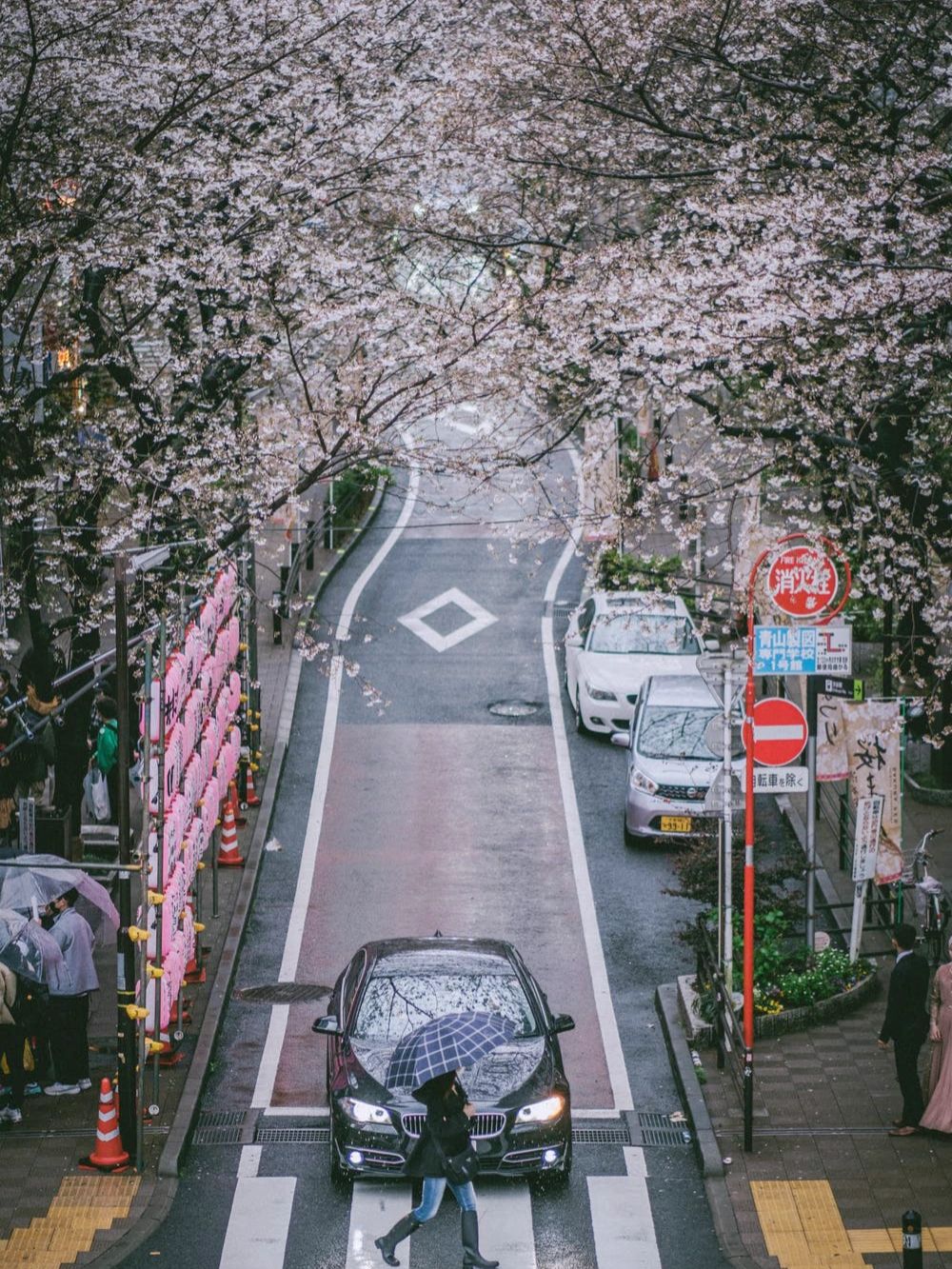 江苏赏花胜地。这些地方也太好打卡了吧