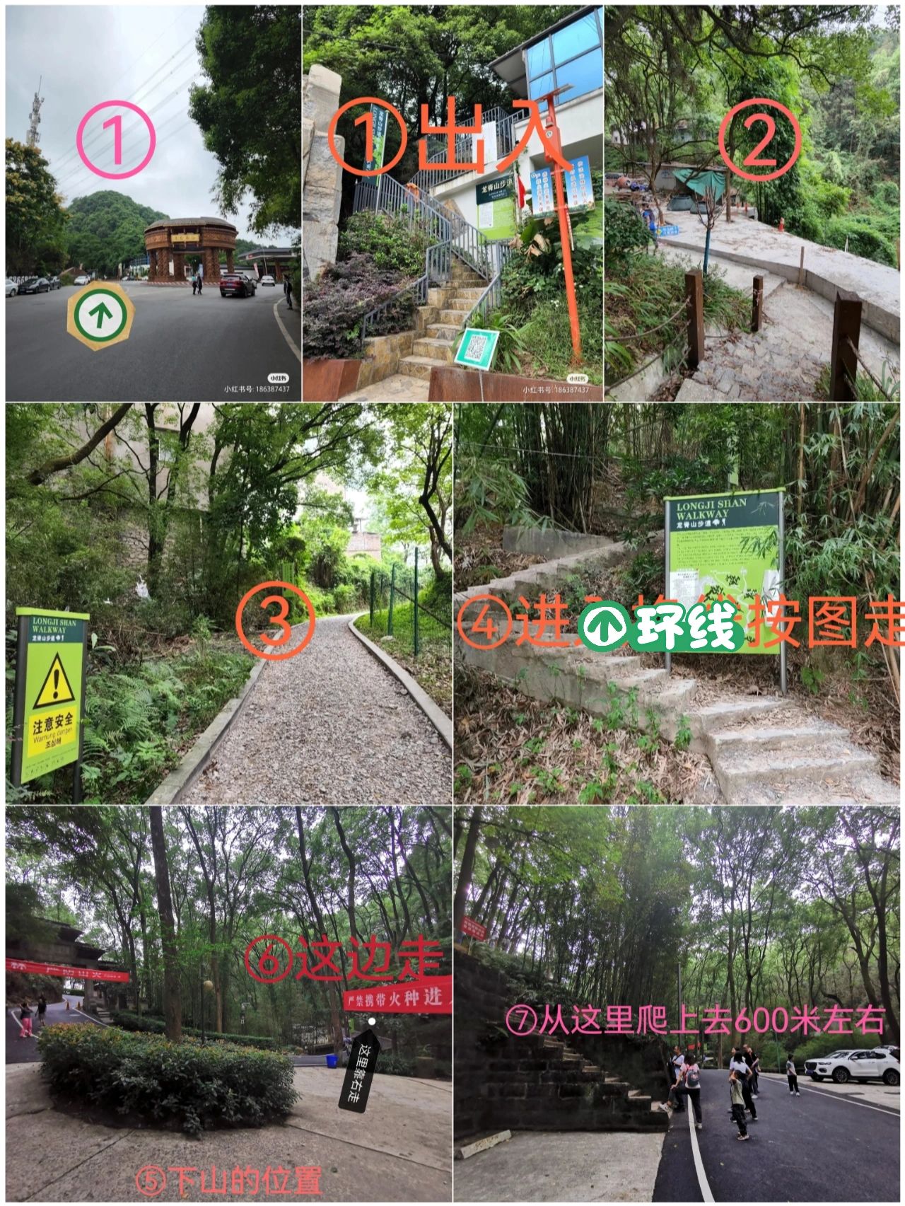 亲子徒步—南山龙脊山步道4.5KM