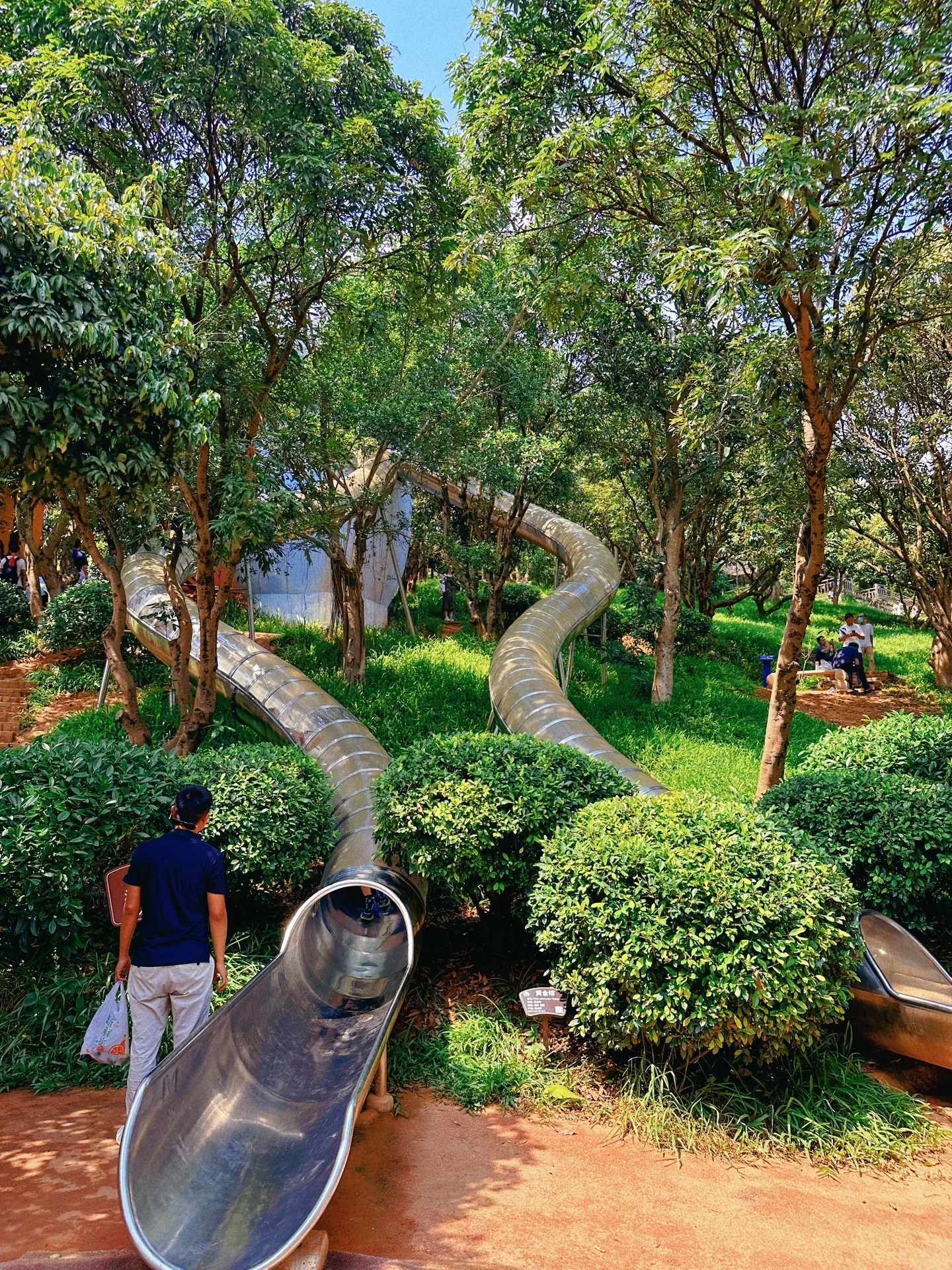 广西亲子游|仙境植物园免费丛林滑梯游乐园