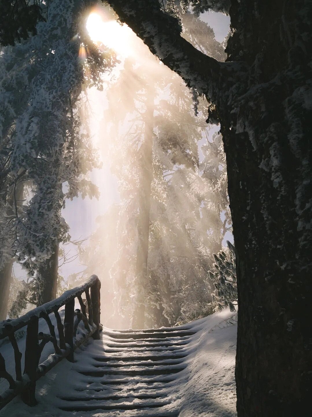 四川看雪不是很容易？