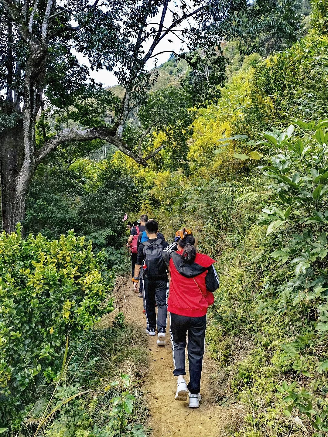 不出远门去徒步|市内9条地铁直达徒步路线