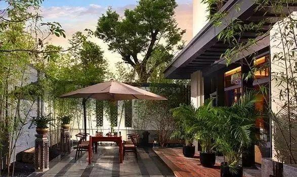 
庭院深深，
枝繁叶茂的绿树中鸟儿们欢快地啼叫着，
池塘里新冒出来的荷叶静静地躺