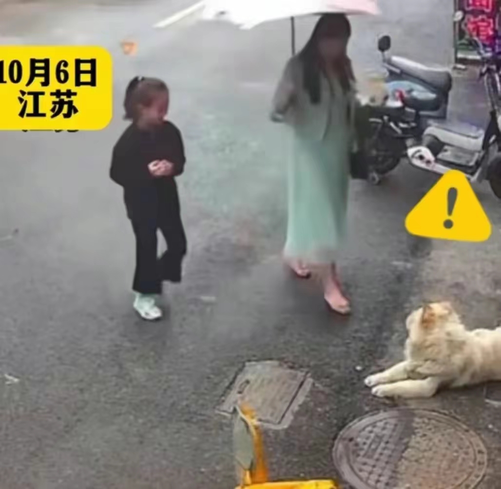 #女子逗狗被咬 狗主人：肯定会赔偿#宠物狗的主人表态还是很好的，肯定会做赔偿。但