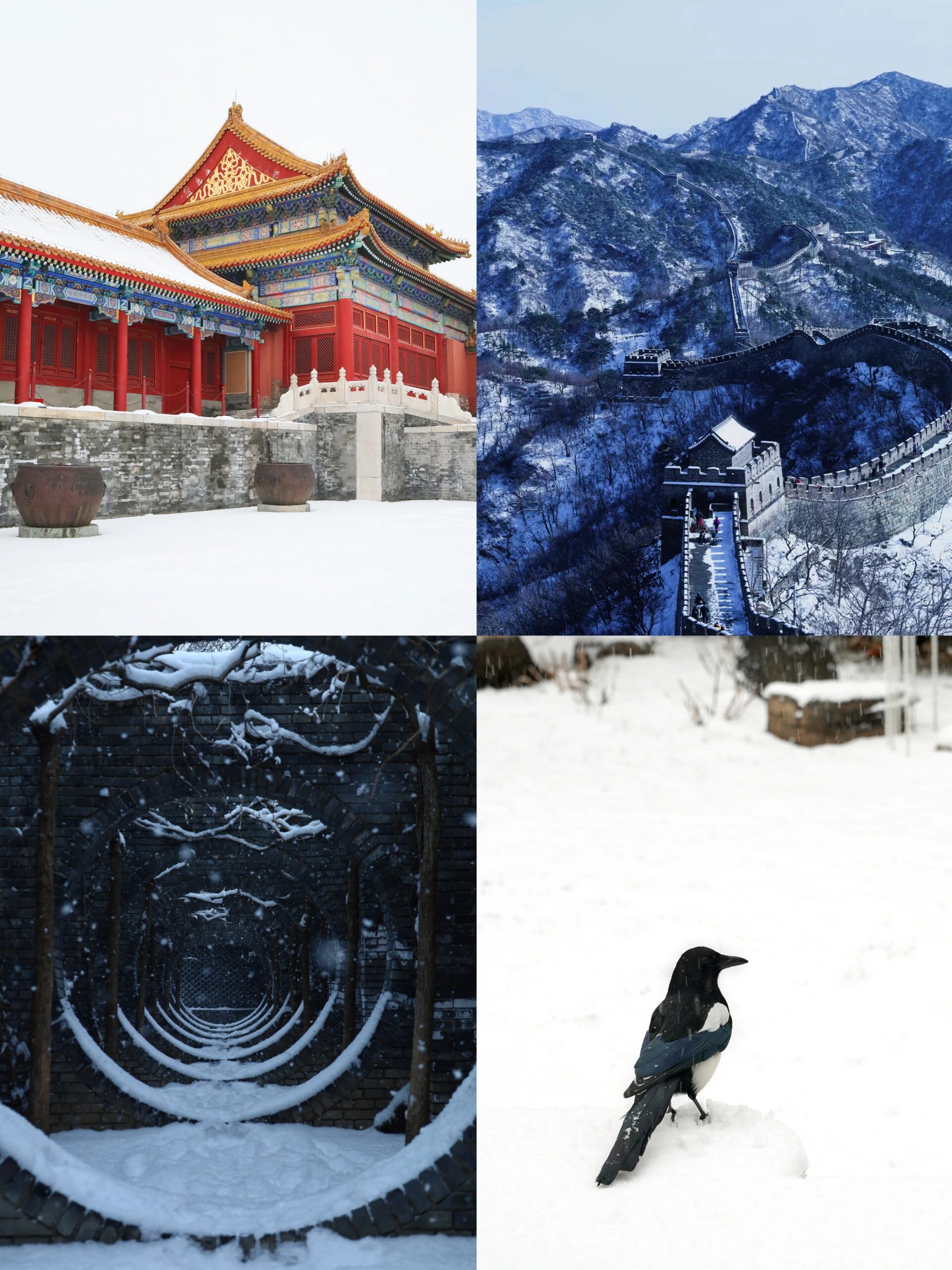 赏雪 | 北京初雪终于要来了，你准备去哪