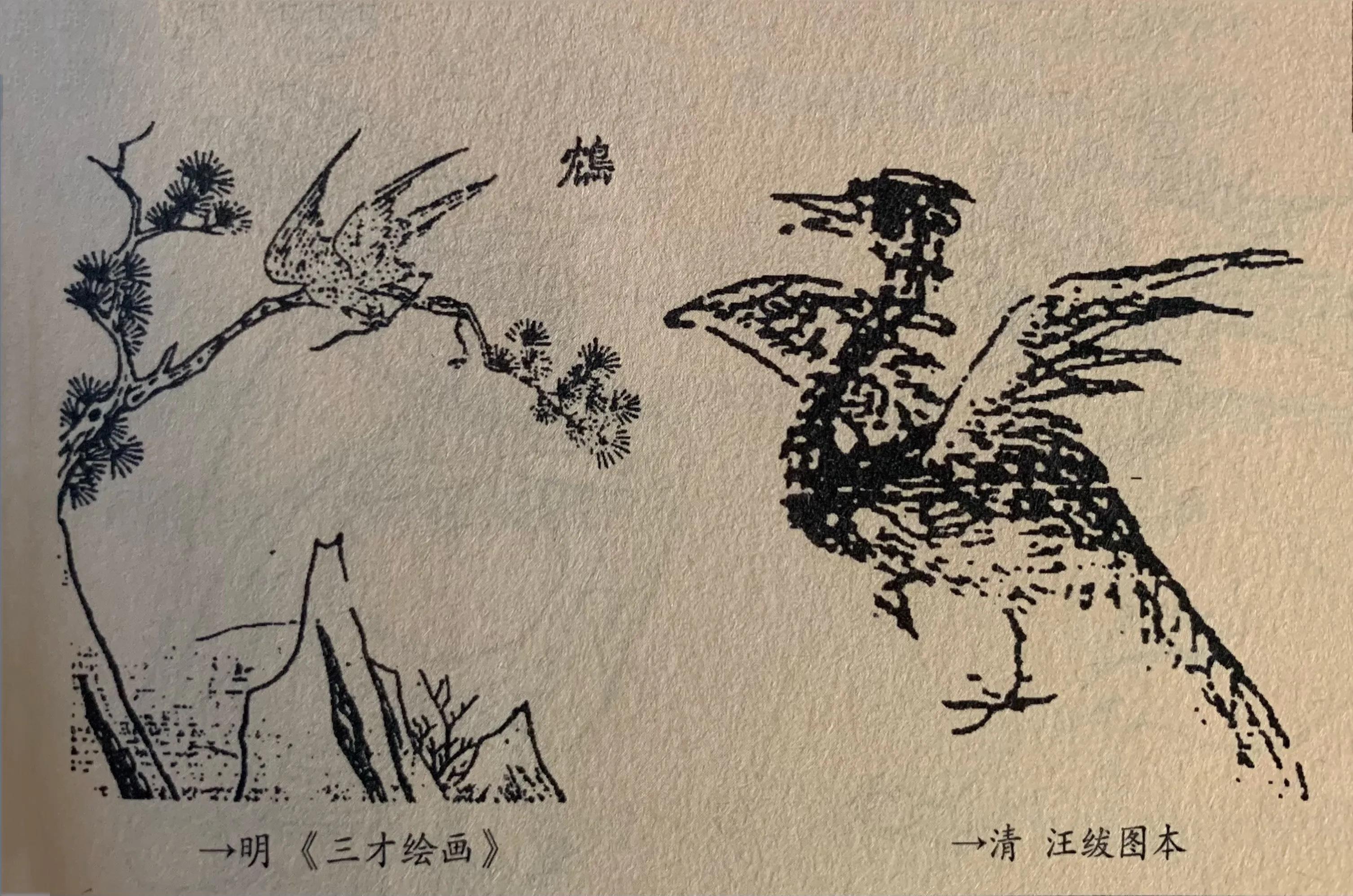 国学《山海经》中次十一经——鸩, 饮鸩止渴的出处居然是一只鸟