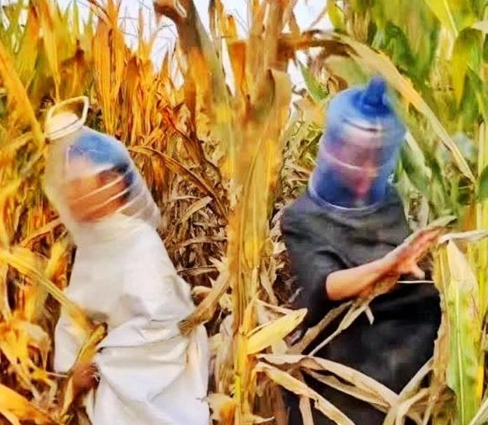 告诉我，为什么我没有想到这一点？