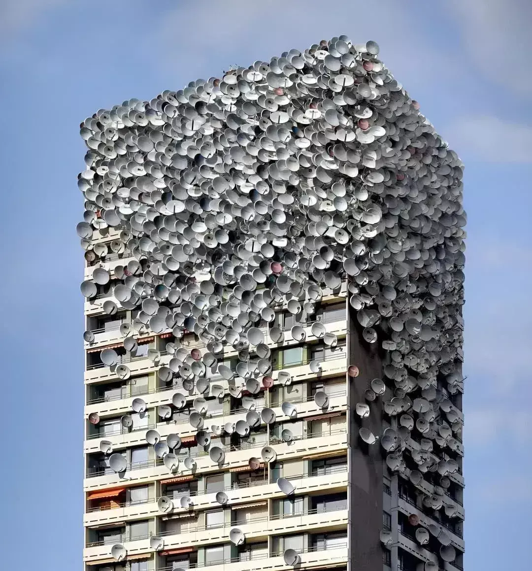 我一看，以为是一块掉下来的砖头。