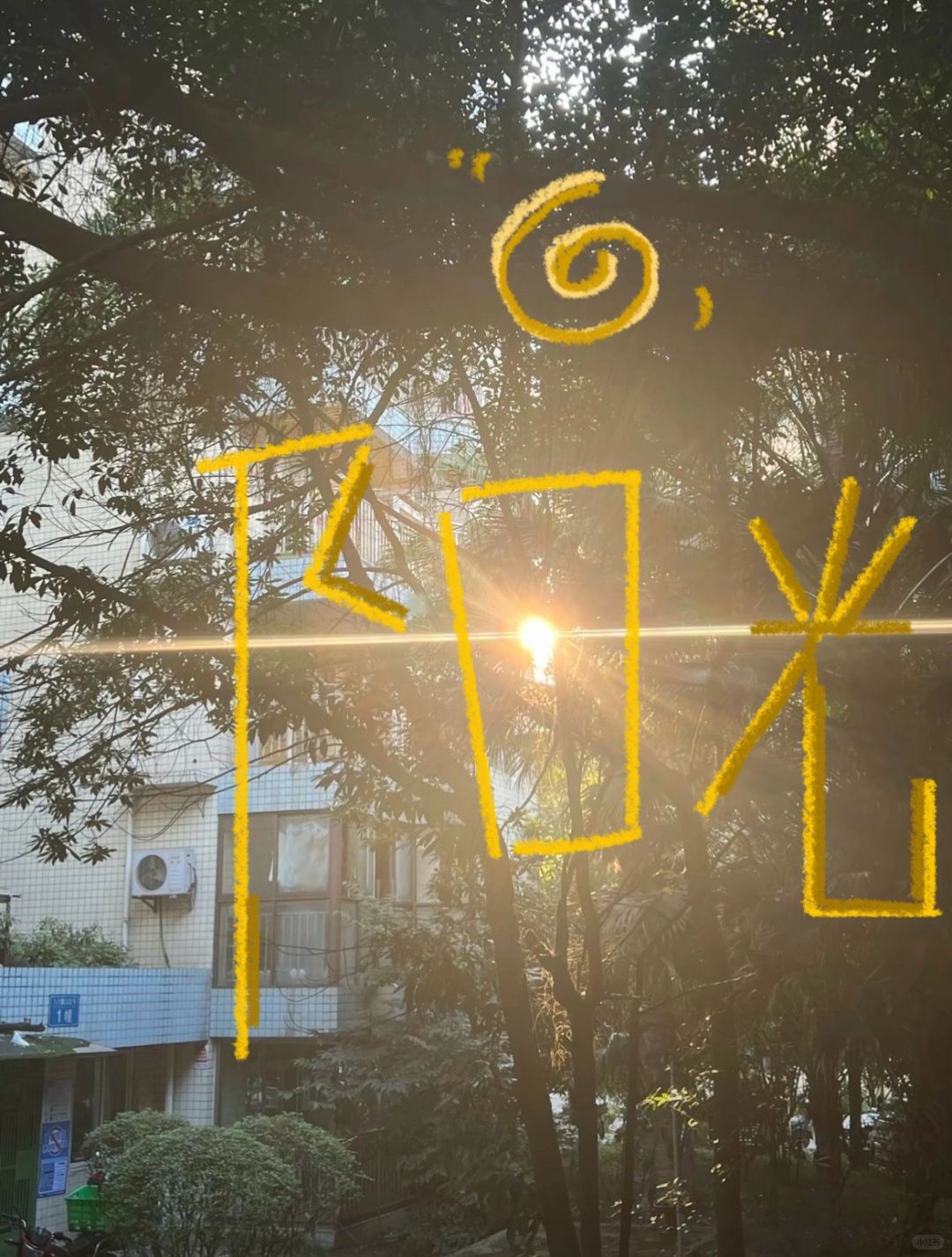 喜欢收藏一切有意义的事物