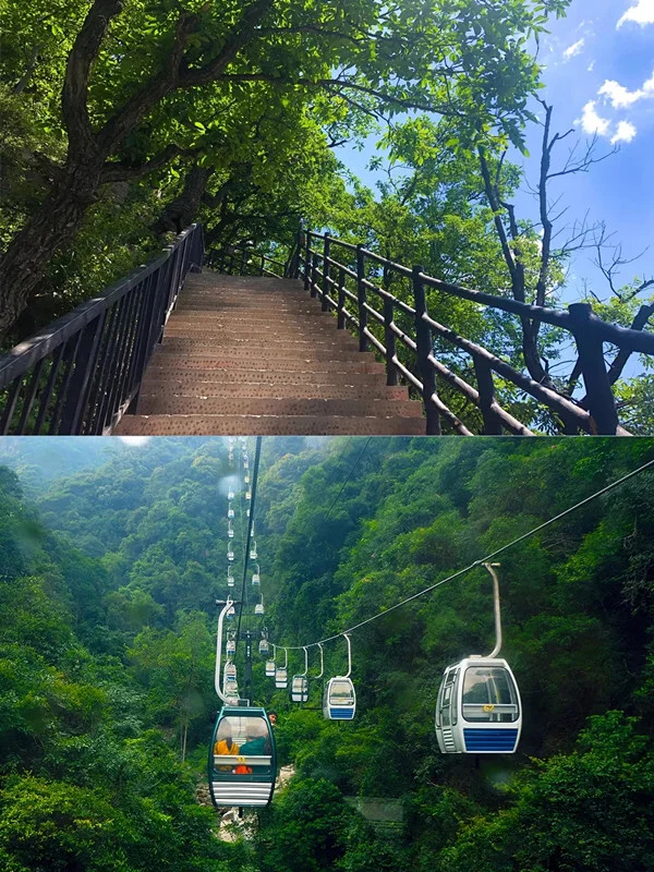 💐河南旅游攻略 | 三天两晚行程安排