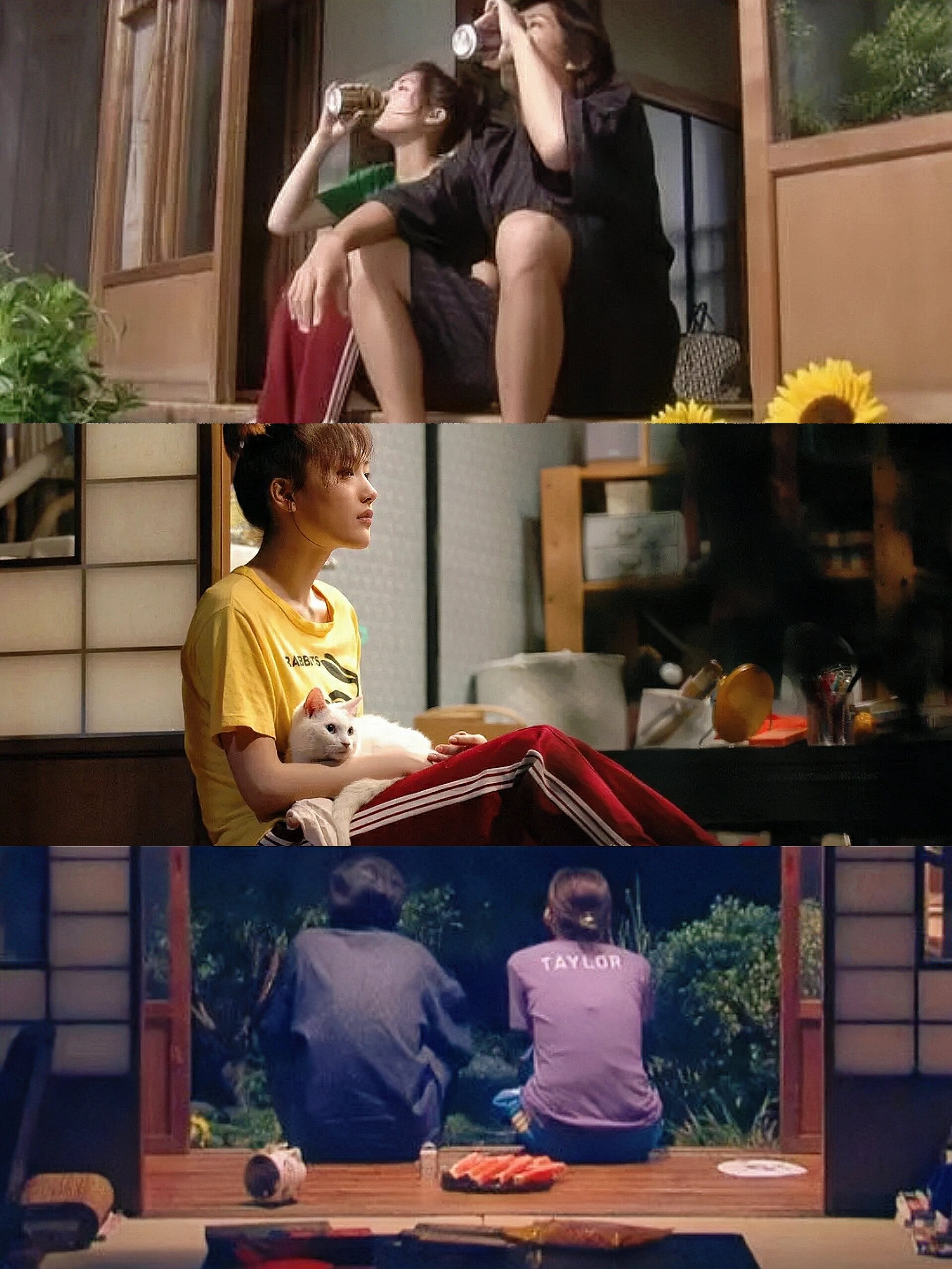 刷了无数遍，必看神剧