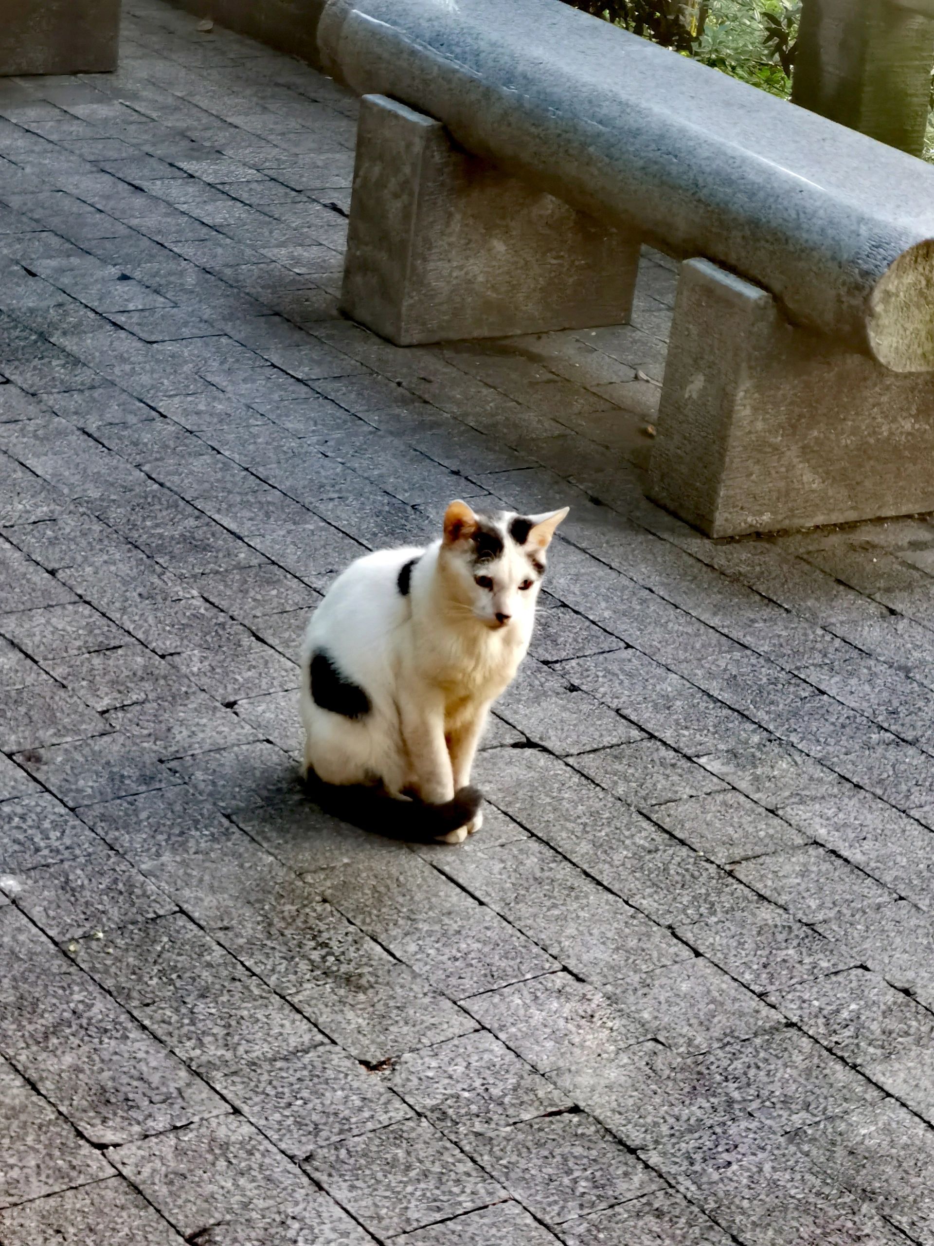 走入山野-白云山徒步