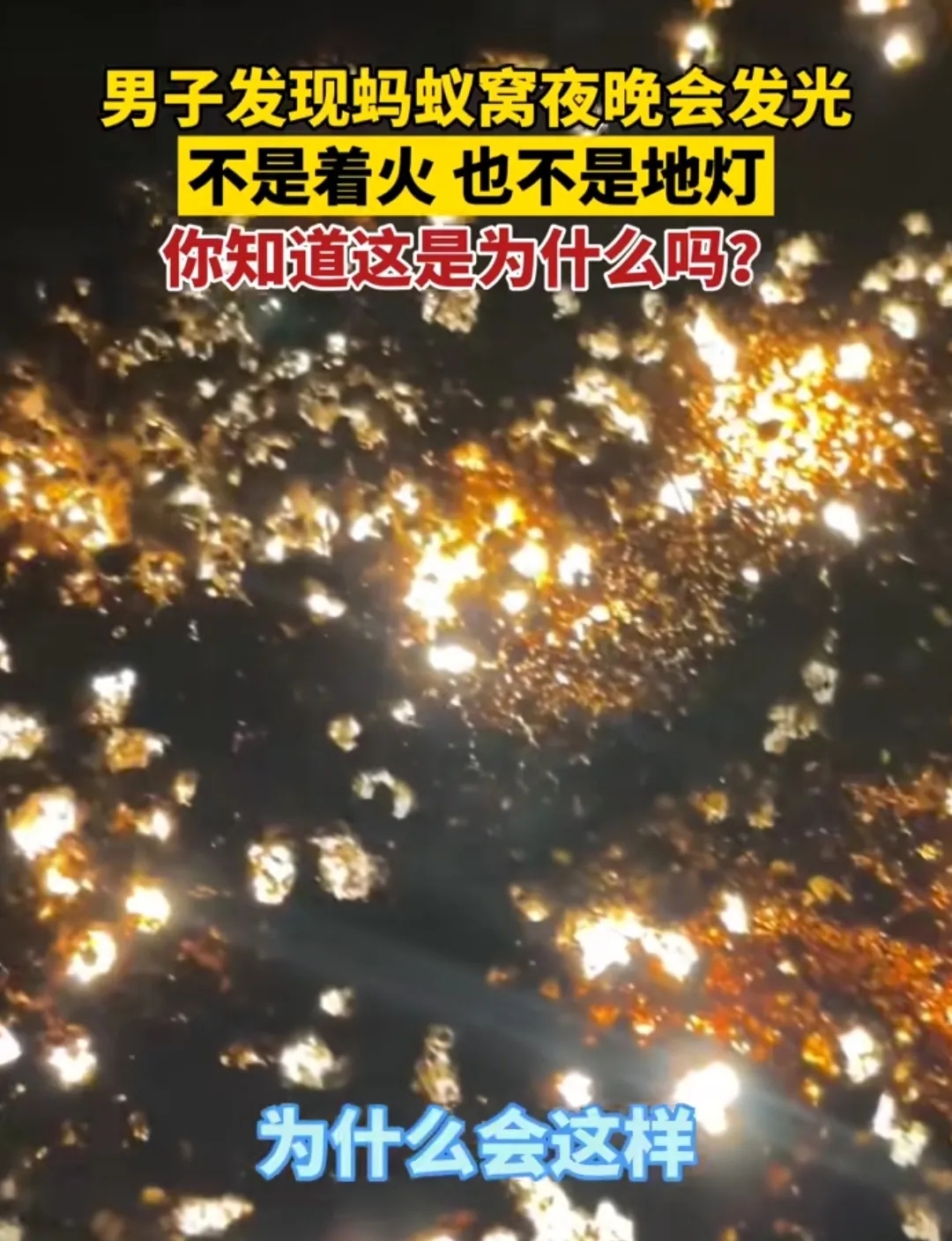 太神奇了！网友们调侃“走进科学”栏目都能拍出三集。究竟是什么神秘事件呢？近日，福