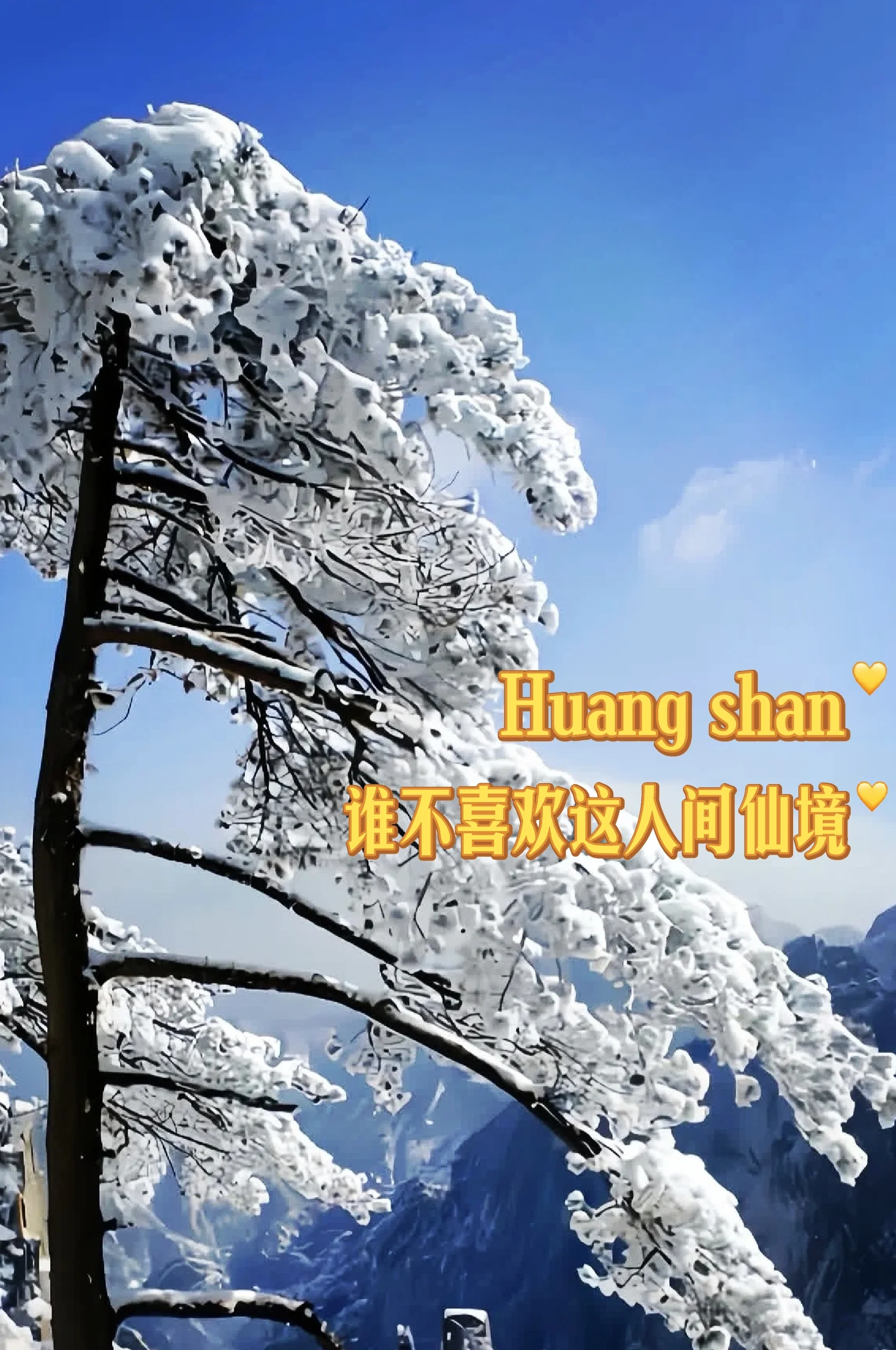 黄山❄让美凝固在每一寸雪景与日出间💙