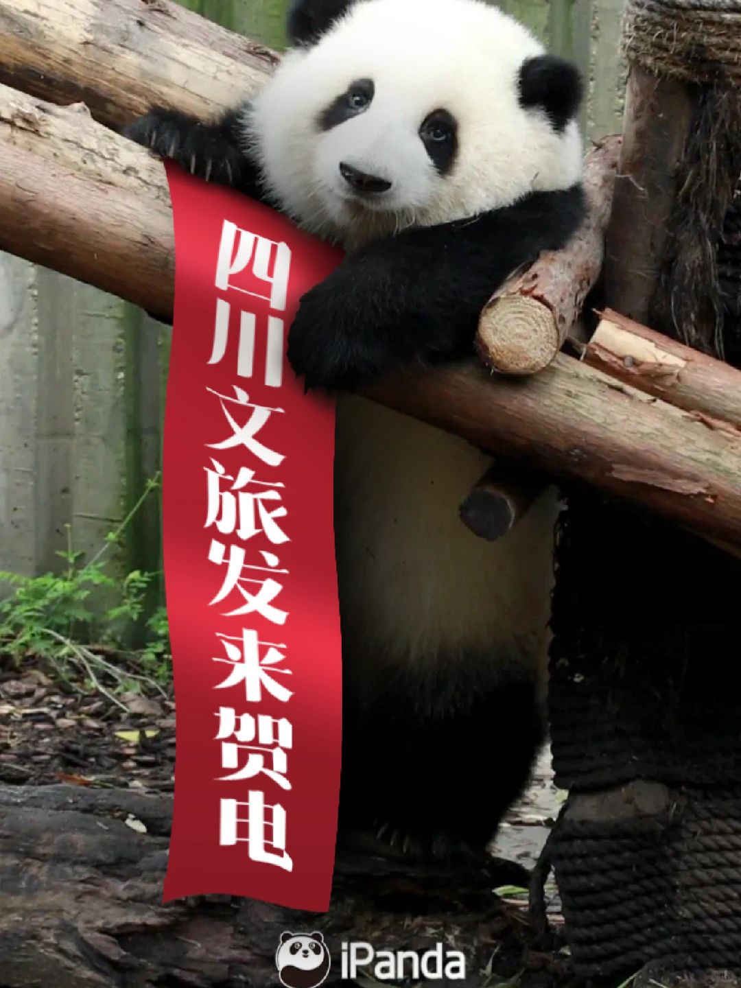 @薯队长，四川文旅有希望上春晚吗？
恭喜小红书官宣与央视春晚合作。🎉不仅成为春