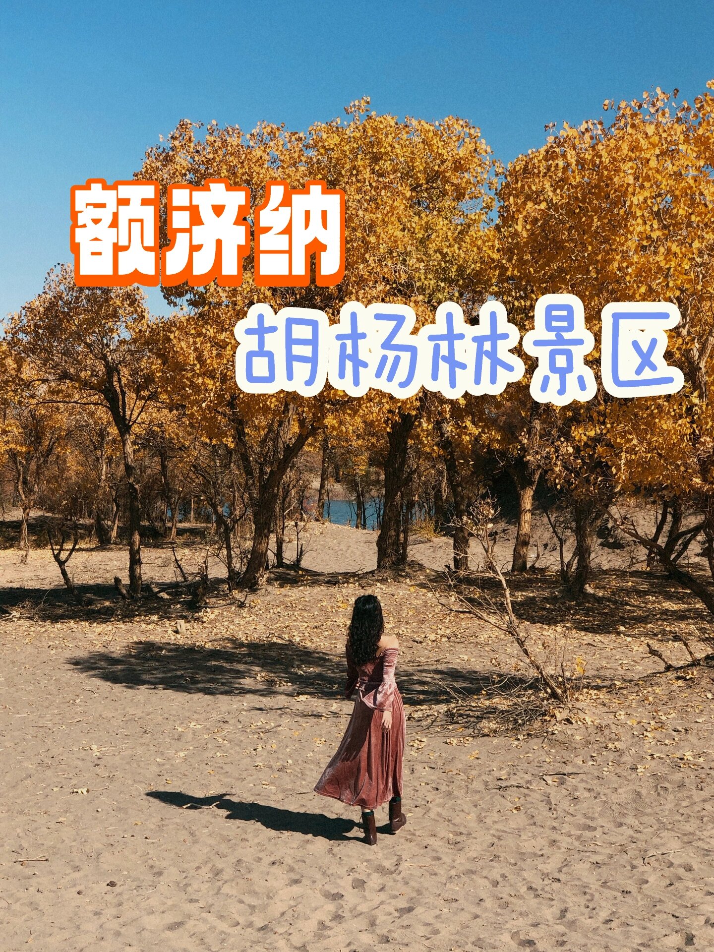 额济纳＊胡杨林旅游区最新攻略！