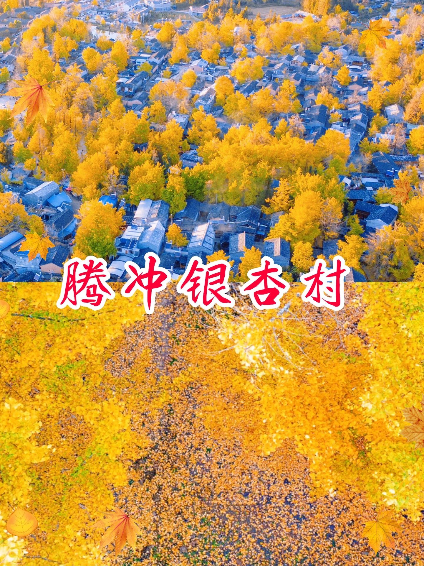 腾冲什么时间去最美很合适