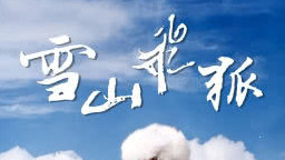 关于武侠小说《飞狐外传》和《雪山飞狐》（主角胡斐）的评论